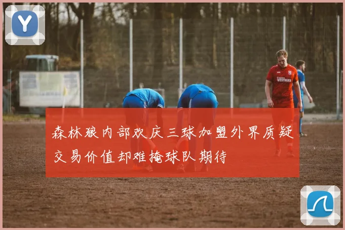 森林狼内部欢庆三球加盟外界质疑交易价值却难掩球队期待