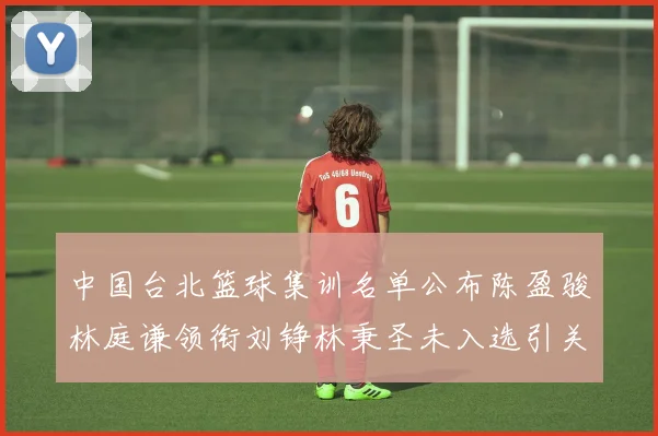 中国台北篮球集训名单公布陈盈骏林庭谦领衔刘铮林秉圣未入选引关注