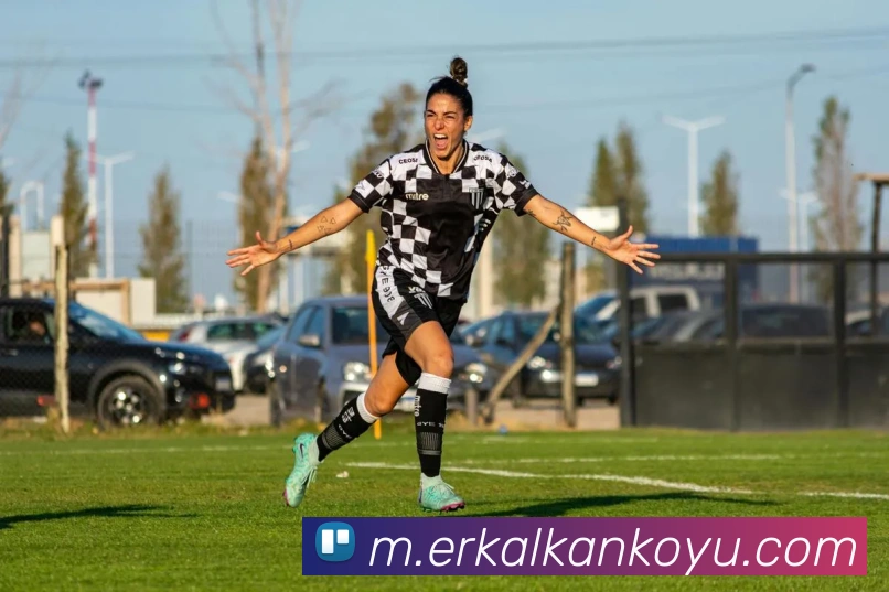AI Risk Control